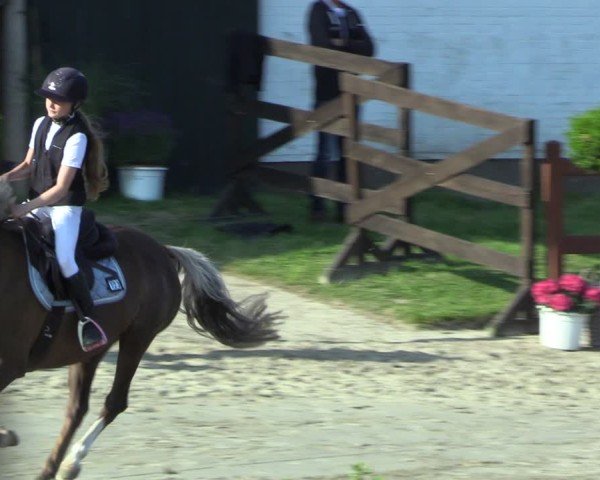 Reitturnier Breitenburg 2025