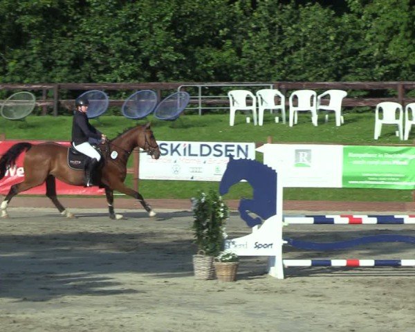 Reitturnier Breitenburg 2025