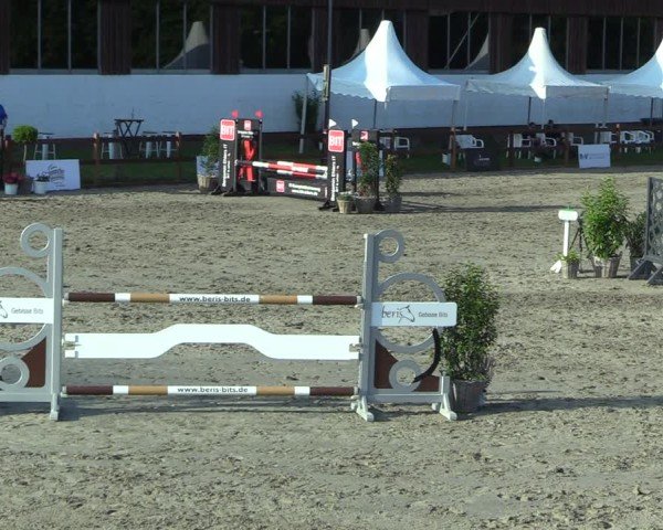 Reitturnier Breitenburg 2025
