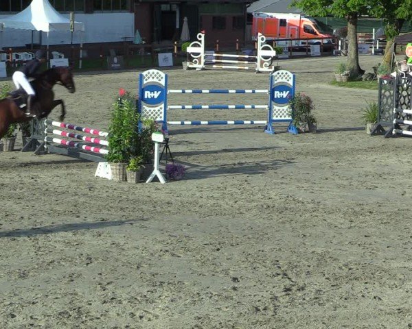 Reitturnier Breitenburg 2025