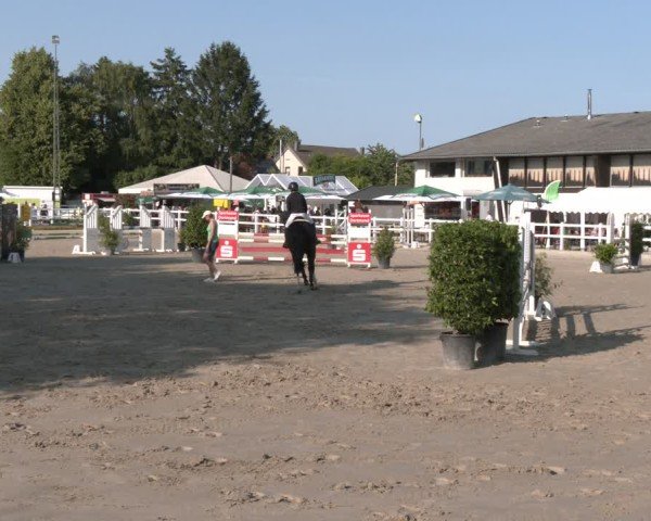 Reitturnier Dortmund-Somborn 2025