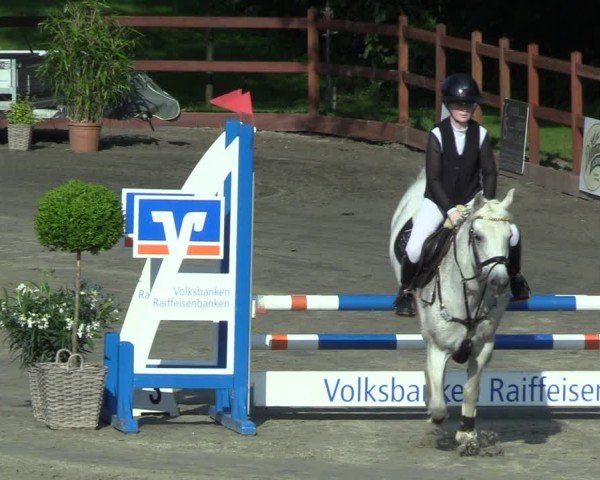 Reitturnier Breitenburg 2025