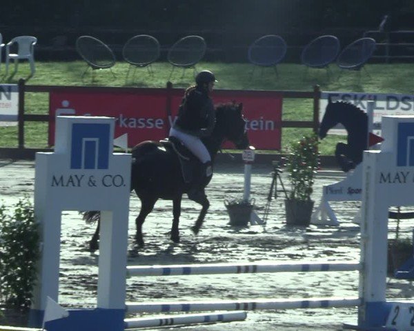 Reitturnier Breitenburg 2025