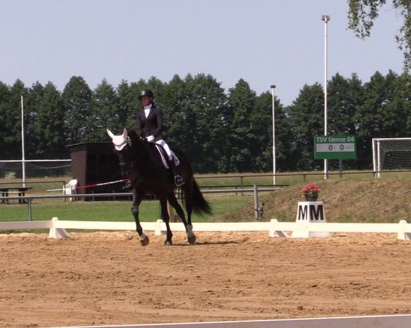 Jezdecký turnaj Uenze 2025