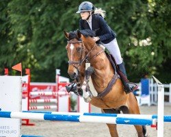 jumper Moonlight L (Westphalian, 2009, from Marec 4)