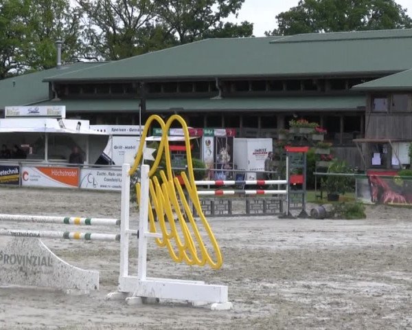 Coesfelder Reitertage 2014