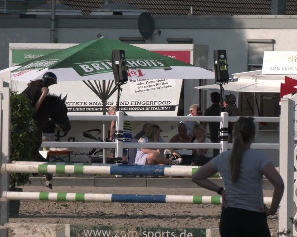 Reitturnier Dortmund-Somborn 2025