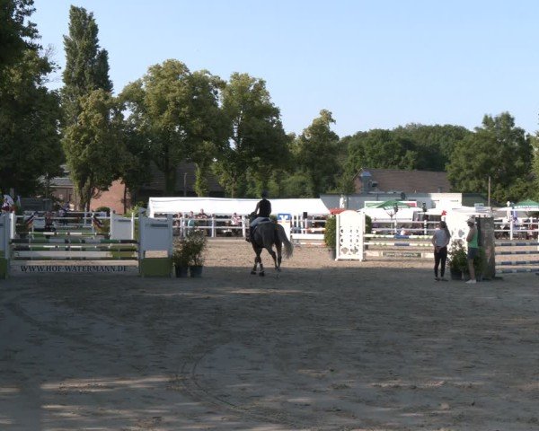 Reitturnier Dortmund-Somborn 2025