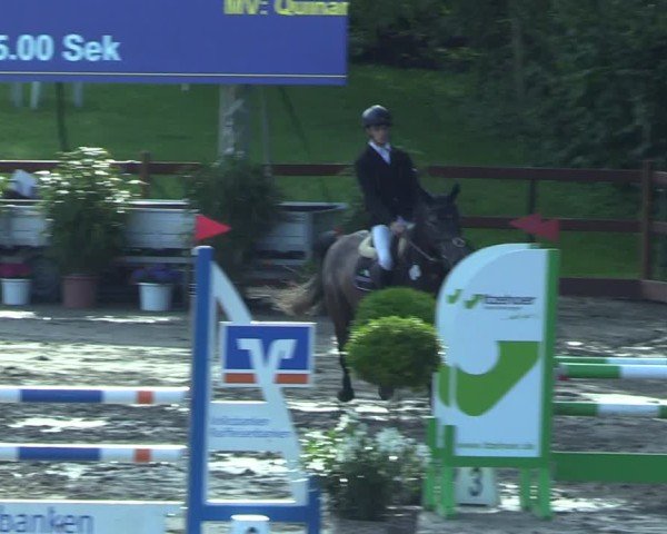 Reitturnier Breitenburg 2025