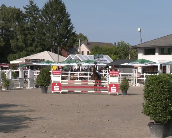 Reitturnier Dortmund-Somborn 2025
