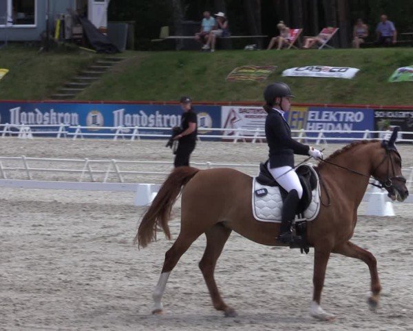 Reitturnier Holschdubrau 2025