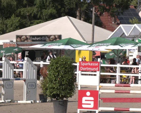 Reitturnier Dortmund-Somborn 2025