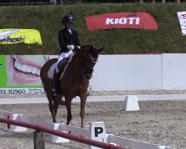 Reitturnier Holschdubrau 2025