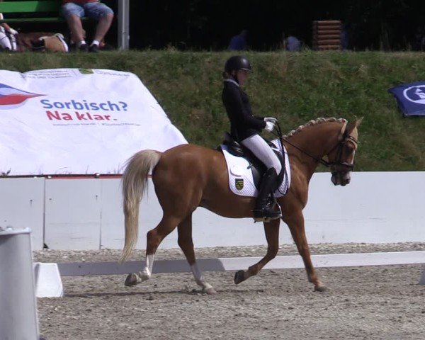 Reitturnier Holschdubrau 2025