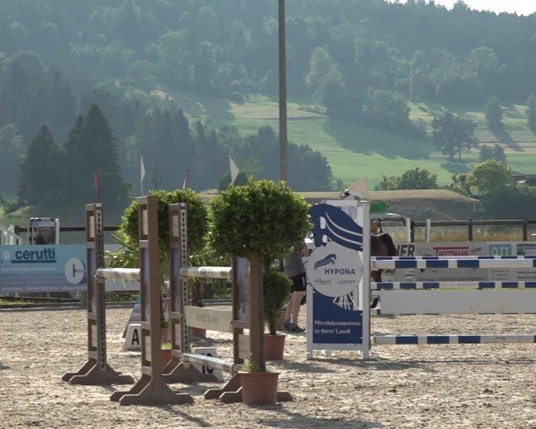 Reitturnier Hitzkirch 2025