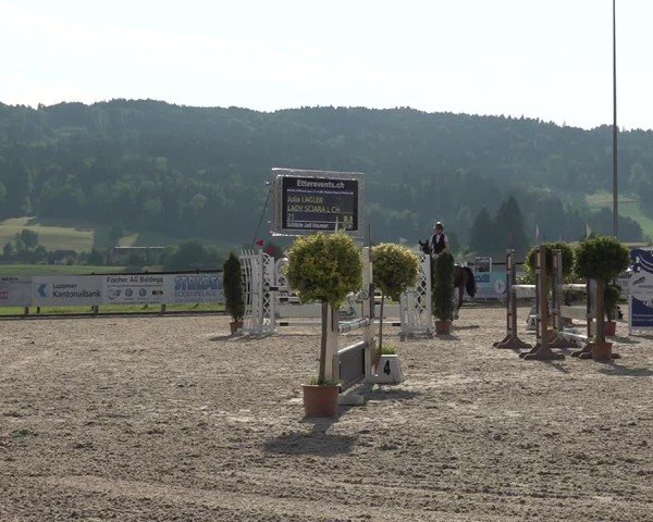 Reitturnier Hitzkirch 2025