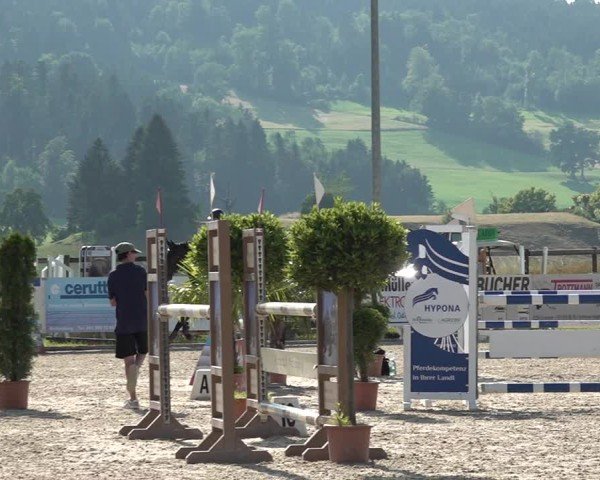 Reitturnier Hitzkirch 2025