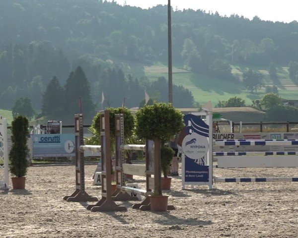 Reitturnier Hitzkirch 2025