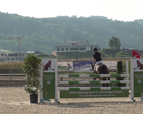 Reitturnier Hitzkirch 2025