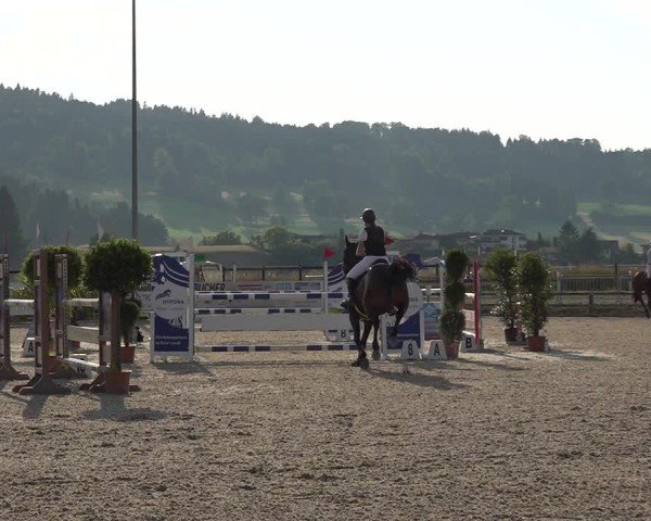 Reitturnier Hitzkirch 2025