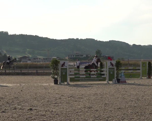 Reitturnier Hitzkirch 2025