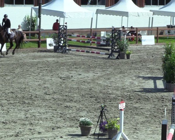 Reitturnier Breitenburg 2025