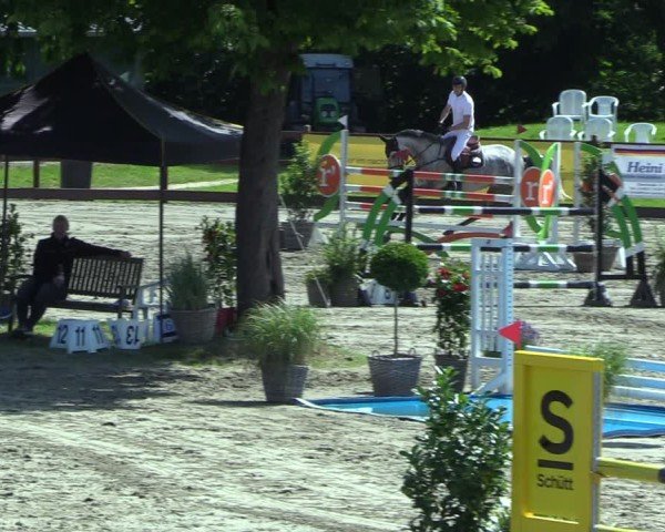 Reitturnier Breitenburg 2025