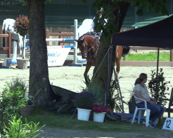 Reitturnier Breitenburg 2025