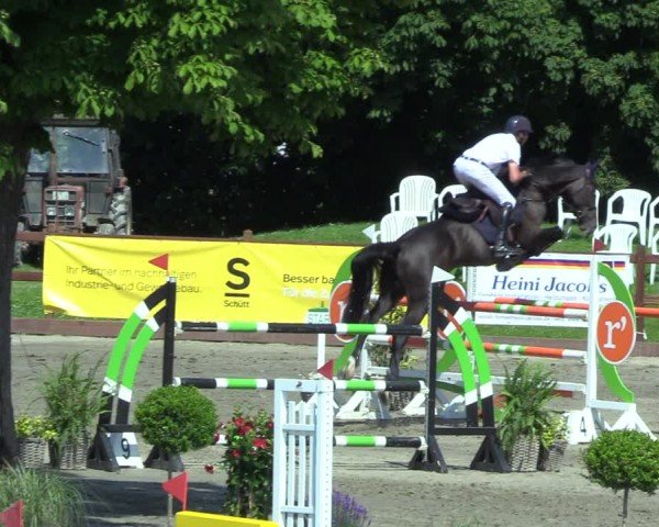 Reitturnier Breitenburg 2025