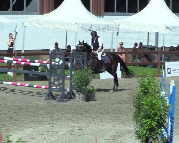 Reitturnier Breitenburg 2025