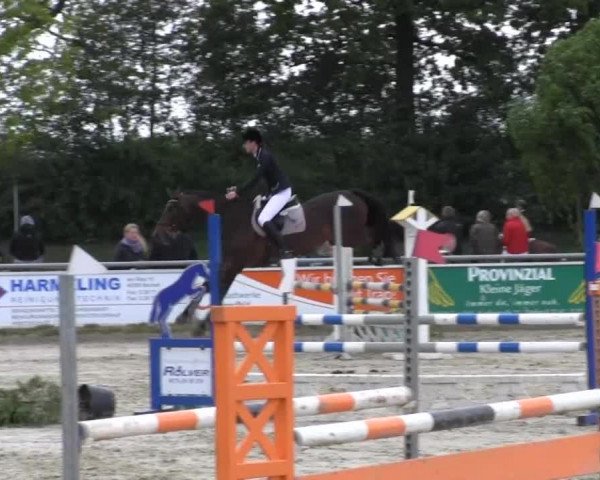 Coesfelder Reitertage 2014