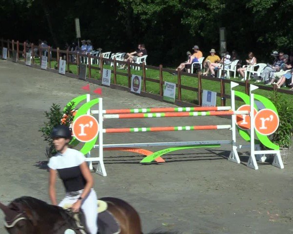 Reitturnier Breitenburg 2025