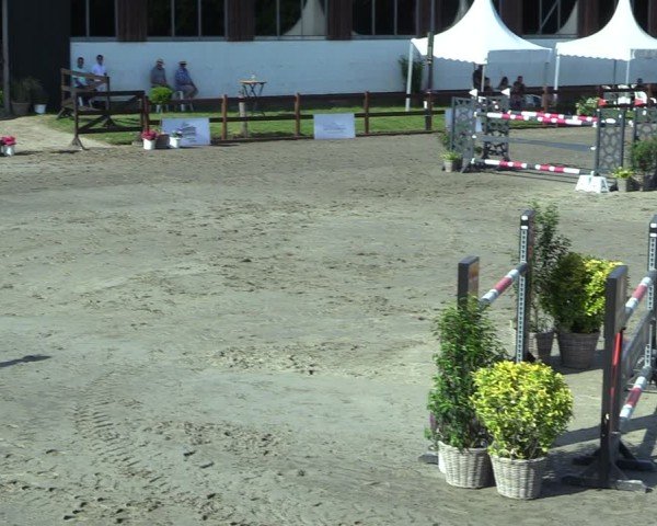 Reitturnier Breitenburg 2025