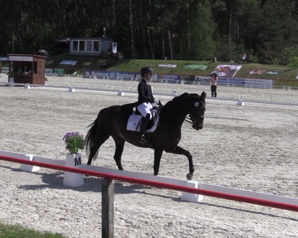 Reitturnier Holschdubrau 2025