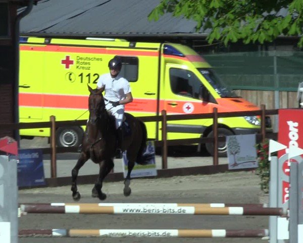 Reitturnier Breitenburg 2025