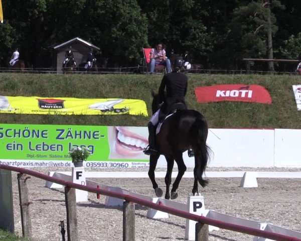 Reitturnier Holschdubrau 2025
