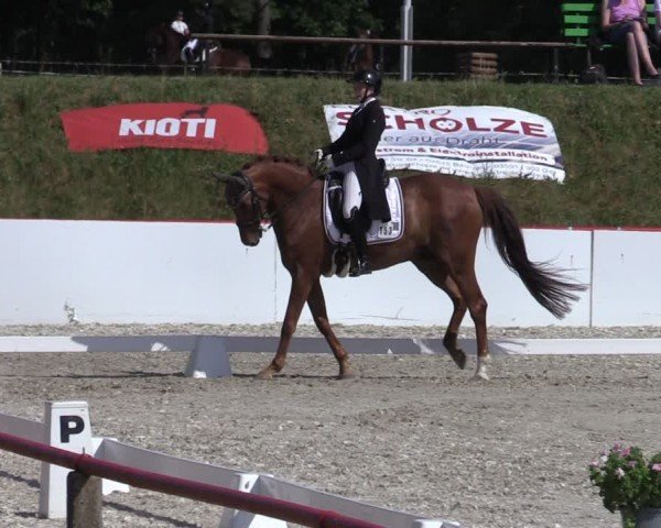 Reitturnier Holschdubrau 2025