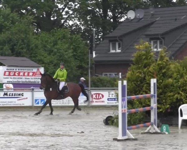 Coesfelder Reitertage 2014