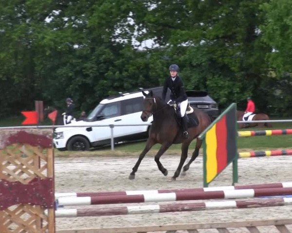 Coesfelder Reitertage 2014