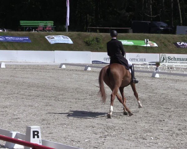Reitturnier Holschdubrau 2025