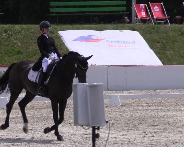 Reitturnier Holschdubrau 2025