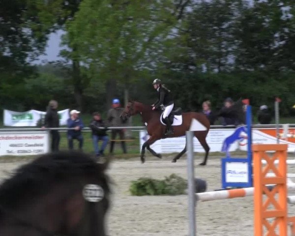 Coesfelder Reitertage 2014