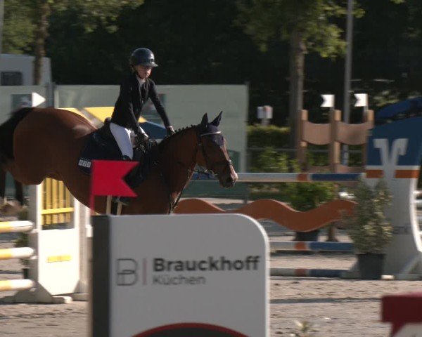 Reitturnier Münster-Albachten 2025