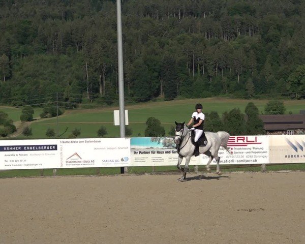 Reitturnier Hitzkirch 2025