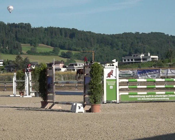 Reitturnier Hitzkirch 2025