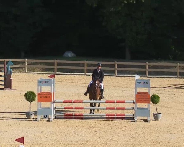 Reitturnier Tiefenhof/Opf. 2025