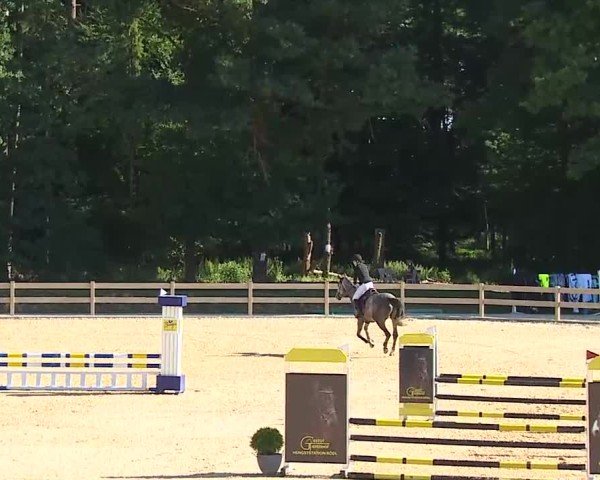Reitturnier Tiefenhof/Opf. 2025