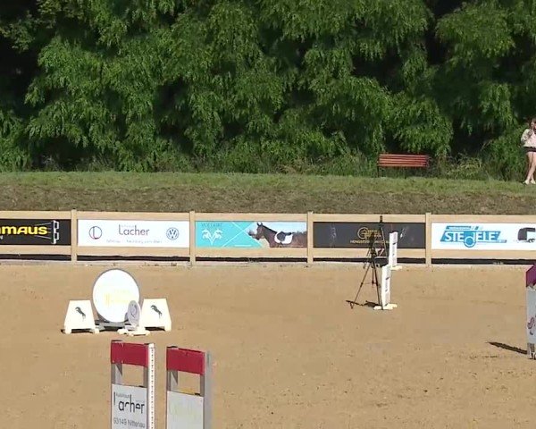 Reitturnier Tiefenhof/Opf. 2025