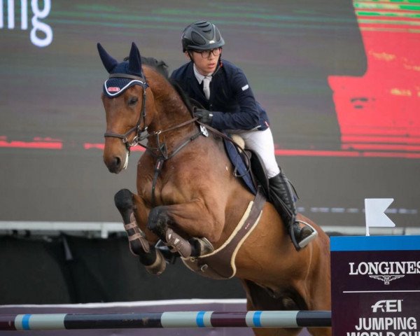 jumper Fritz Filou (Hanoverian, 2007, from For Edition)