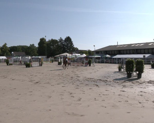 Reitturnier Dortmund-Somborn 2025